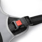 Dog Harness with Car Seatbelt