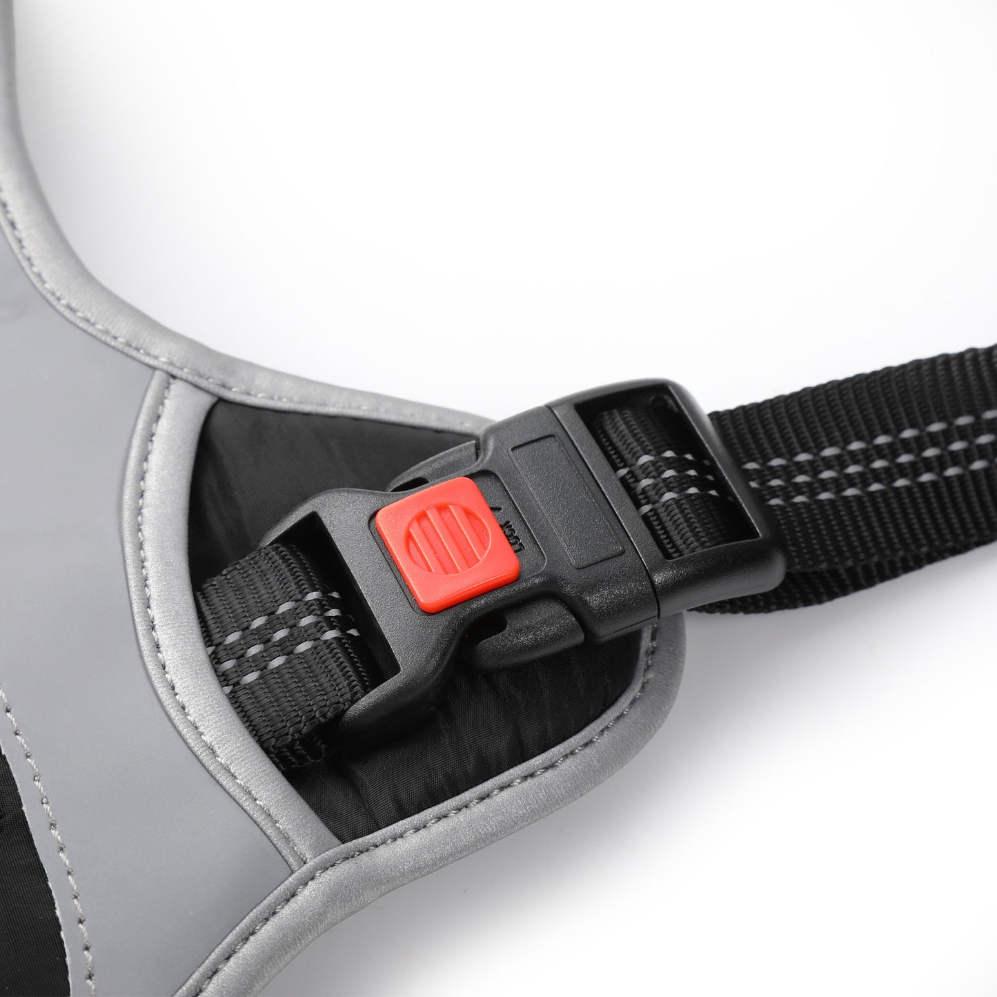 Dog Harness with Car Seatbelt