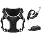 Dog Harness with Car Seatbelt